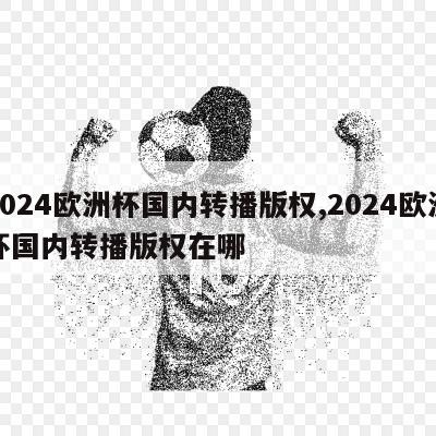 2024欧洲杯国内转播版权,2024欧洲杯国内转播版权在哪